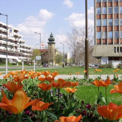 Ajka Város Önkormányzata