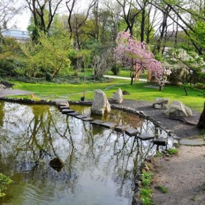 Budapest Főváros VIII. Kerület Józsefvárosi Önkormányzat