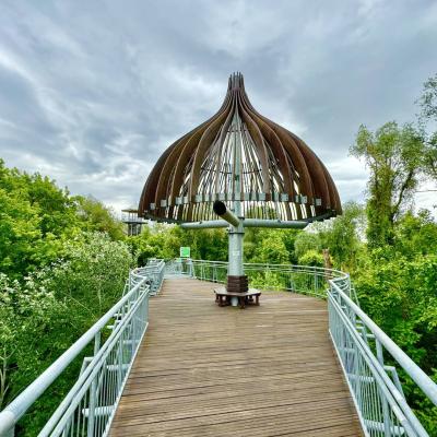 Makó Város Önkormányzata