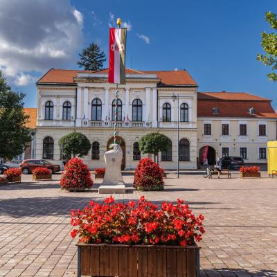 Tata Város Önkormányzata