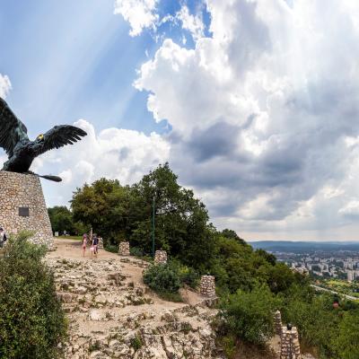 Tatabánya Megyei Jogú Város Önkormányzata
