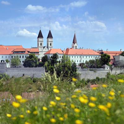 Veszprém Megyei Jogú Város Önkormányzata